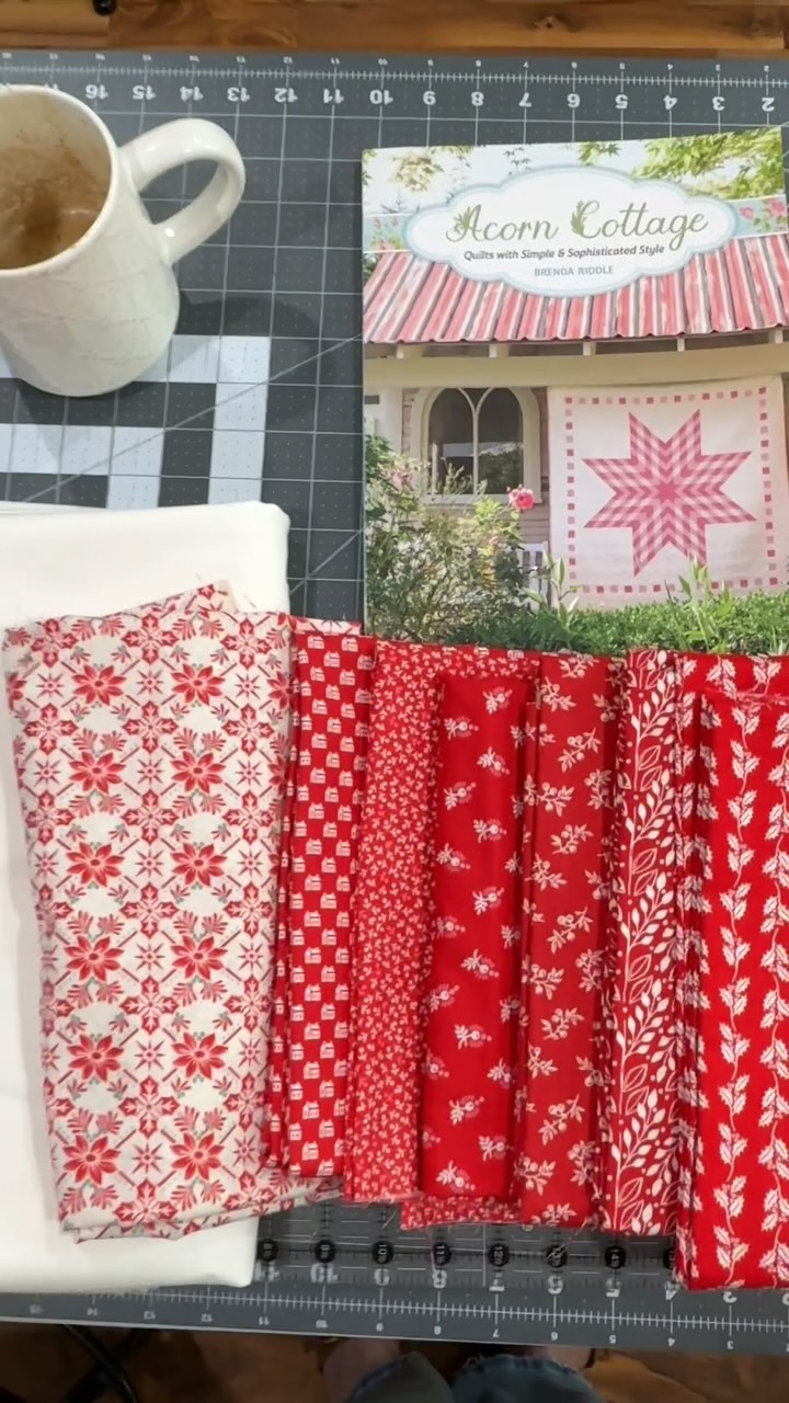 My mom’s license plate says QUILTS, so yes... I already have multiple Christmas quilts. And yes... we’re planning another one. Follow along as this year’s quilt comes to life 😉 #christmasquilt #handmadehome #quiltersgonnaquilt